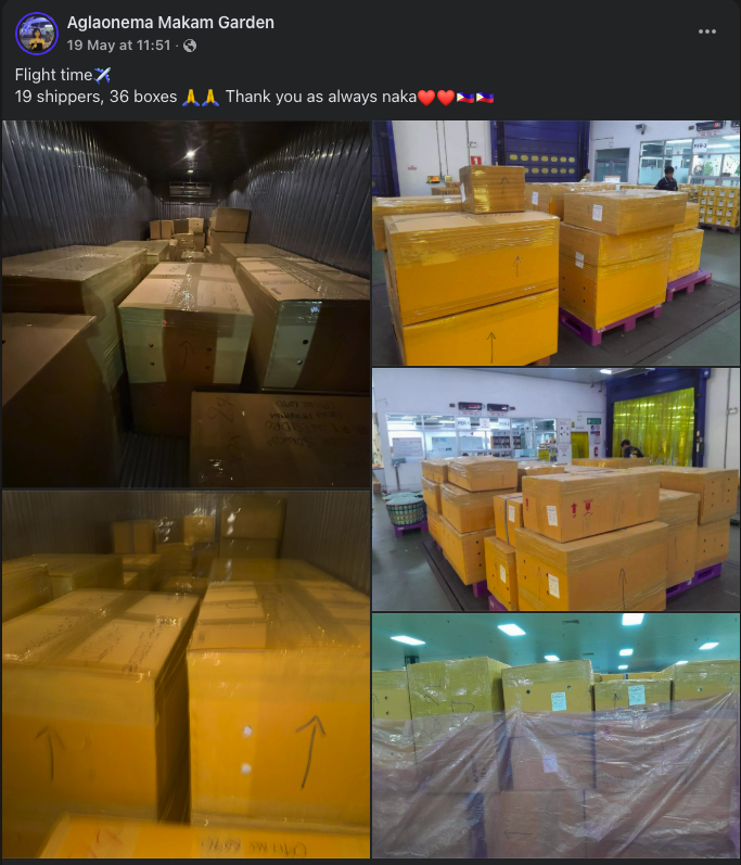 Customer review